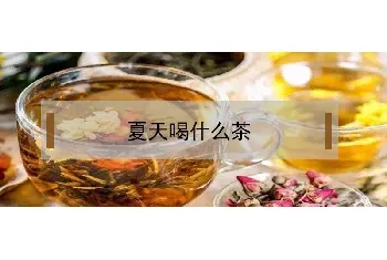 夏天喝什么茶