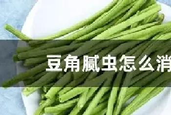 豆角腻虫怎么消灭