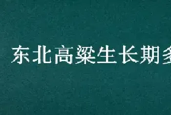 东北高粱生长期多少天