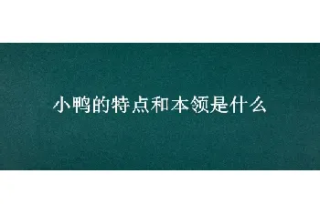 小鸭的特点和本领是什么