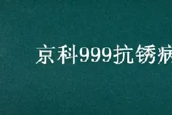 京科999抗锈病吗