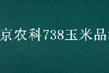 京农科738玉米品种介绍