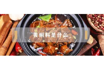 黄焖料是什么