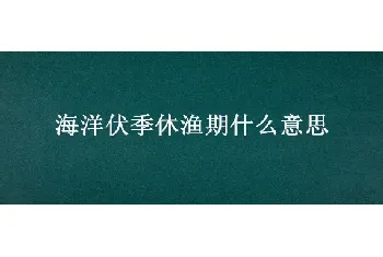 海洋伏季休渔期什么意思