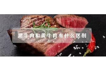 黑牛肉和黄牛肉有什么区别