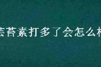 芸苔素打多了会怎么样