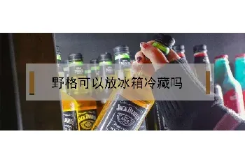 野格可以放冰箱冷藏吗