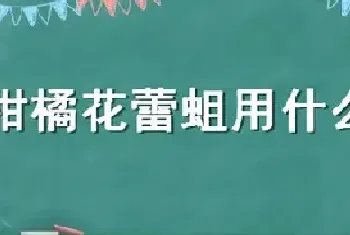 柑橘花蕾蛆用什么农药