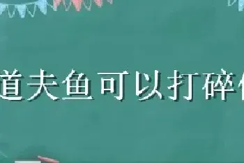 清道夫鱼可以打碎做饲料吗