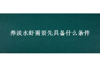 养淡水虾需要先具备什么条件