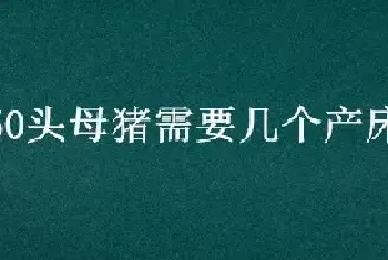 50头母猪需要几个产床