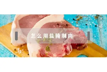 怎么用盐腌制肉