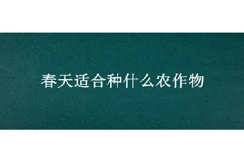 春天适合种什么农作物