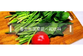 番茄和菠菜能一起吃吗