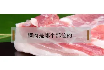 腩肉是哪个部位的