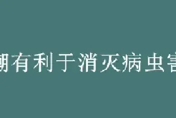 寒潮有利于消灭病虫害是否正确