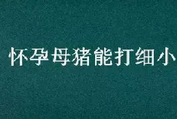 怀孕母猪能打细小病毒吗