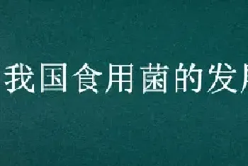 我国食用菌的发展历史