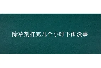 除草剂打完几个小时下雨没事