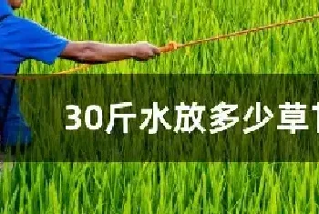 30斤水放多少草甘膦