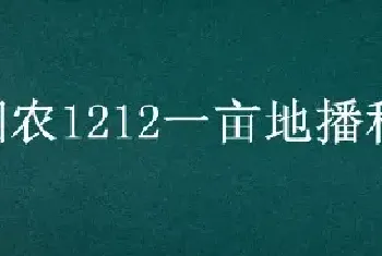 烟农1212一亩地播种多少斤