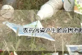 农药污染产生的原因有哪些