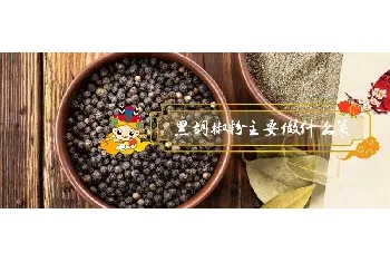 黑胡椒粉主要做什么菜