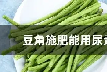 豆角施肥能用尿素吗