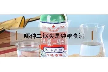 哪种二锅头是纯粮食酒