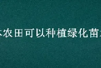 基本农田可以种植绿化苗木吗