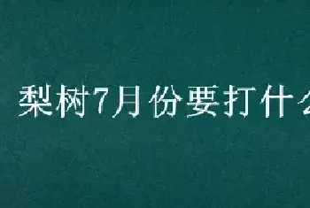 梨树7月份要打什么农药