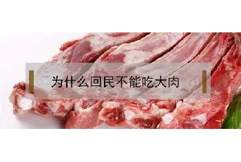 为什么回民不能吃大肉