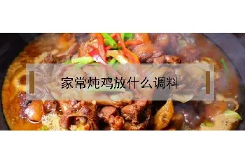 炖鸡放什么调料