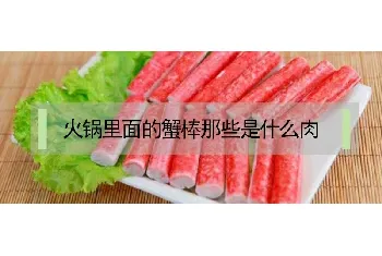 火锅里面的蟹棒那些是什么肉