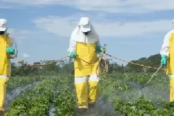 噻虫胺和噻虫嗪的特点以及有啥区别？