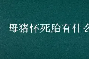 母猪怀死胎有什么症状