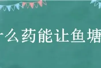 什么药能让鱼塘鱼死光