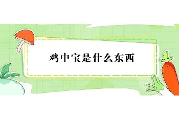 鸡中宝是什么东西