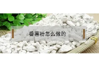 番薯粉怎么做的