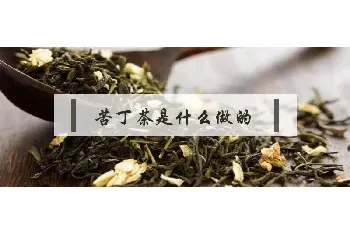 苦丁茶是什么做的