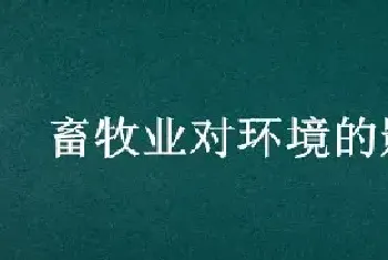 畜牧业对环境的影响