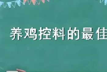 养鸡控料的最佳时段