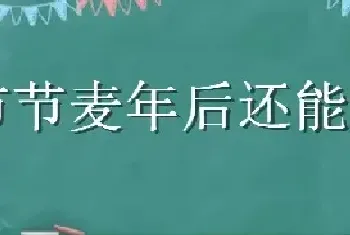 节节麦年后还能防治吗