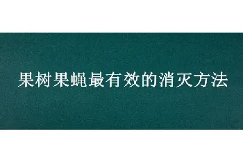 果树果蝇最有效的消灭方法