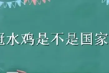 红冠水鸡是不是国家保护动物