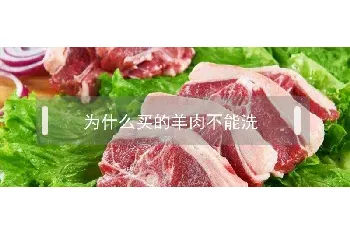 为什么买的羊肉不能洗