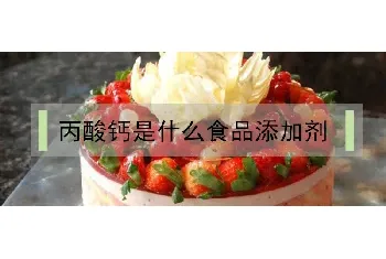 丙酸钙是什么食品添加剂