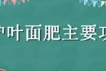 碧护叶面肥主要功效