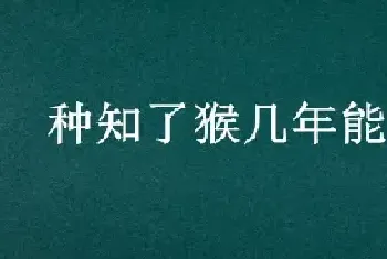 种知了猴几年能出来