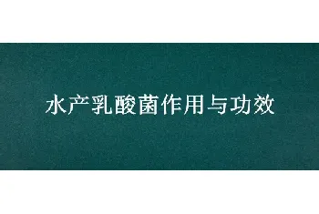 水产乳酸菌作用与功效